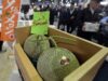 Wow Sepasang Melon Yubari Laku 3 Juta Yen