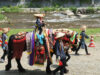Apa itu Festival Chagu Chagu Umakko di Iwate ?