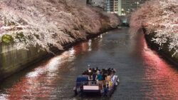 Plesiran Di Tokyo dengan Program Shinagawa Cruise
